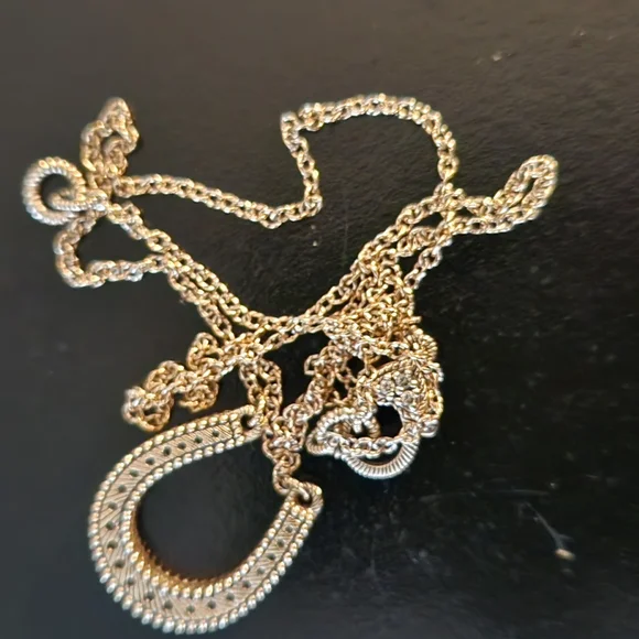 Judith Ripka 18inch Horseshoe Necklace - Picture 6 of 16